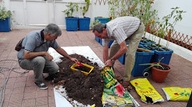 Preparando el terreno