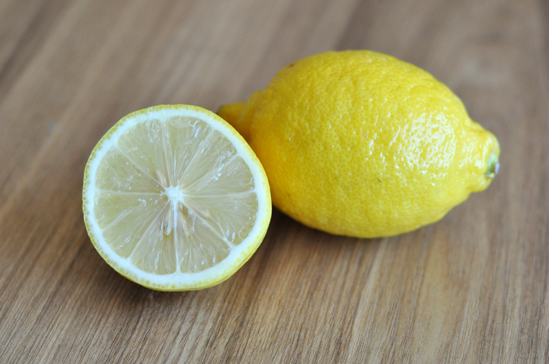 Donna Vercoe Blog Lesson 2 Stylization of a Natural Object