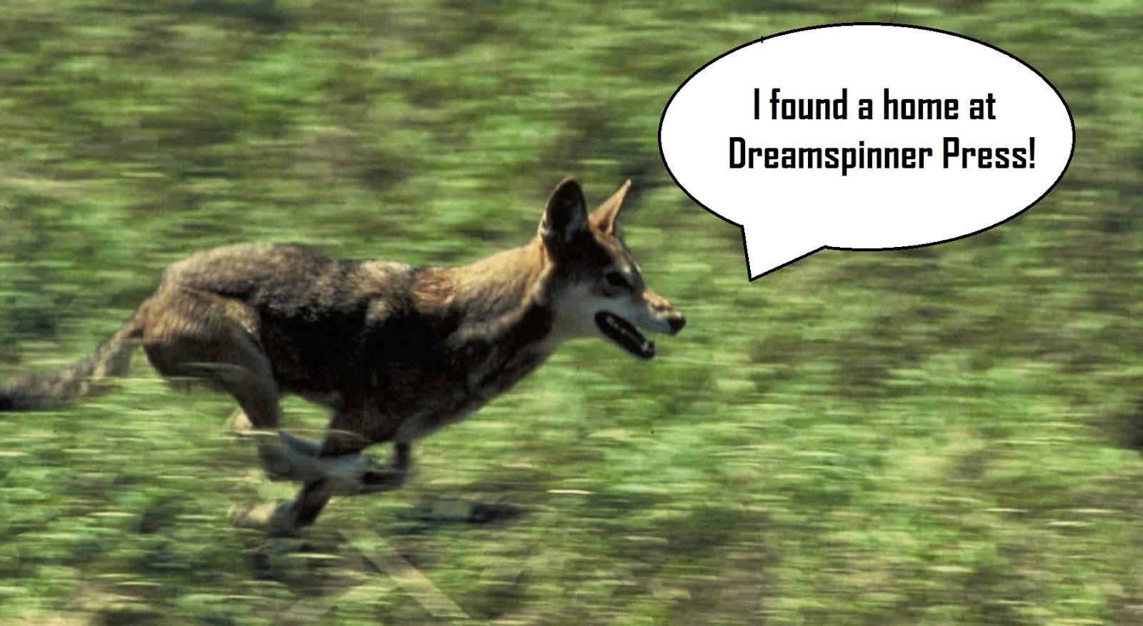 Wolf running with caption "I found a home at Dreamspinner Press!"