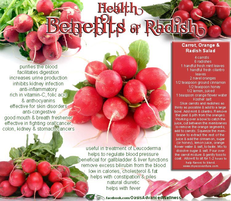 Precious Family Health Benefits Of Radish.