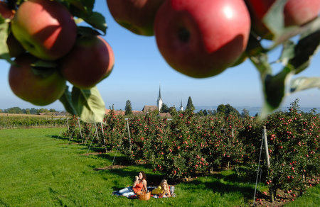 Sport Fan Ch Thurgauer Fruhlingsschwingfest 19 04 2015 In