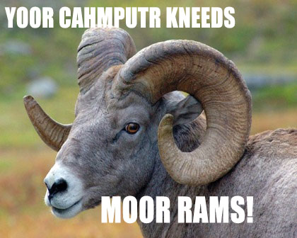 More-RAM.jpg