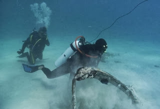 Bermuda Triangle Divers, Divers Underwater,