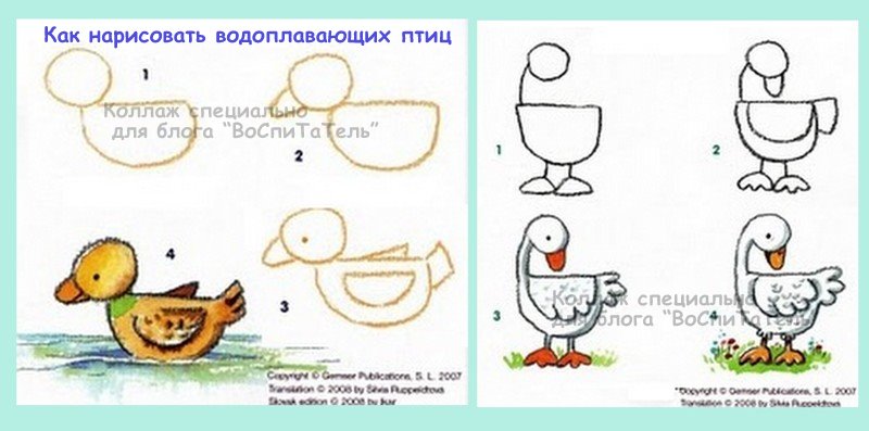 Как нарисовать друзей карандашом поэтапно для начинающих Как нарисовать друзей карандашом поэтапно для начинающих