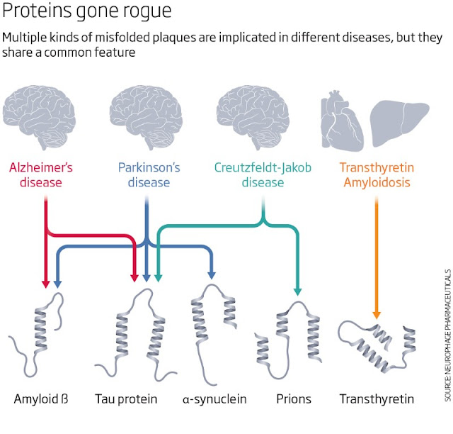 Next Big Future Universal plaquebusting drug could treat various