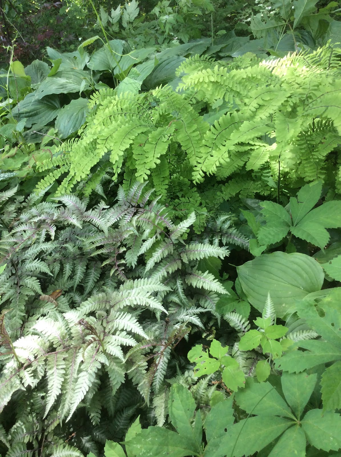 A Tapestry of Green