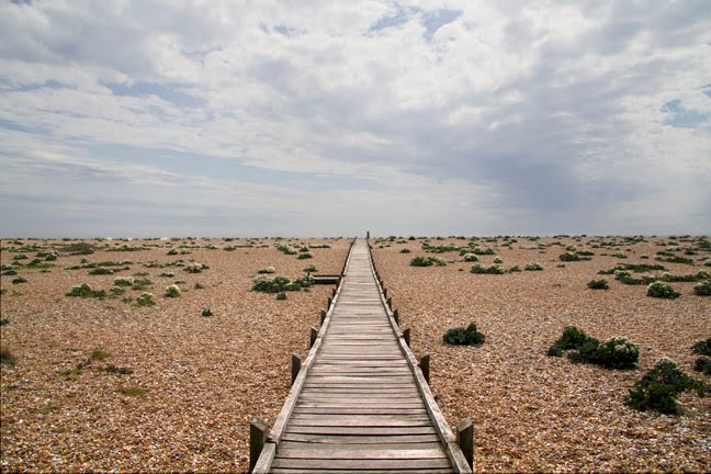 Coast Structure - Dungeness