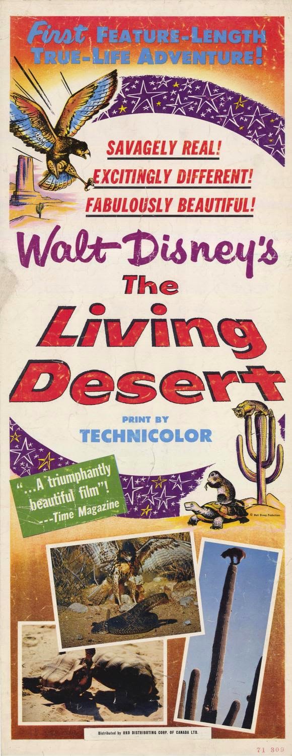 O Drama Do Deserto [1953]