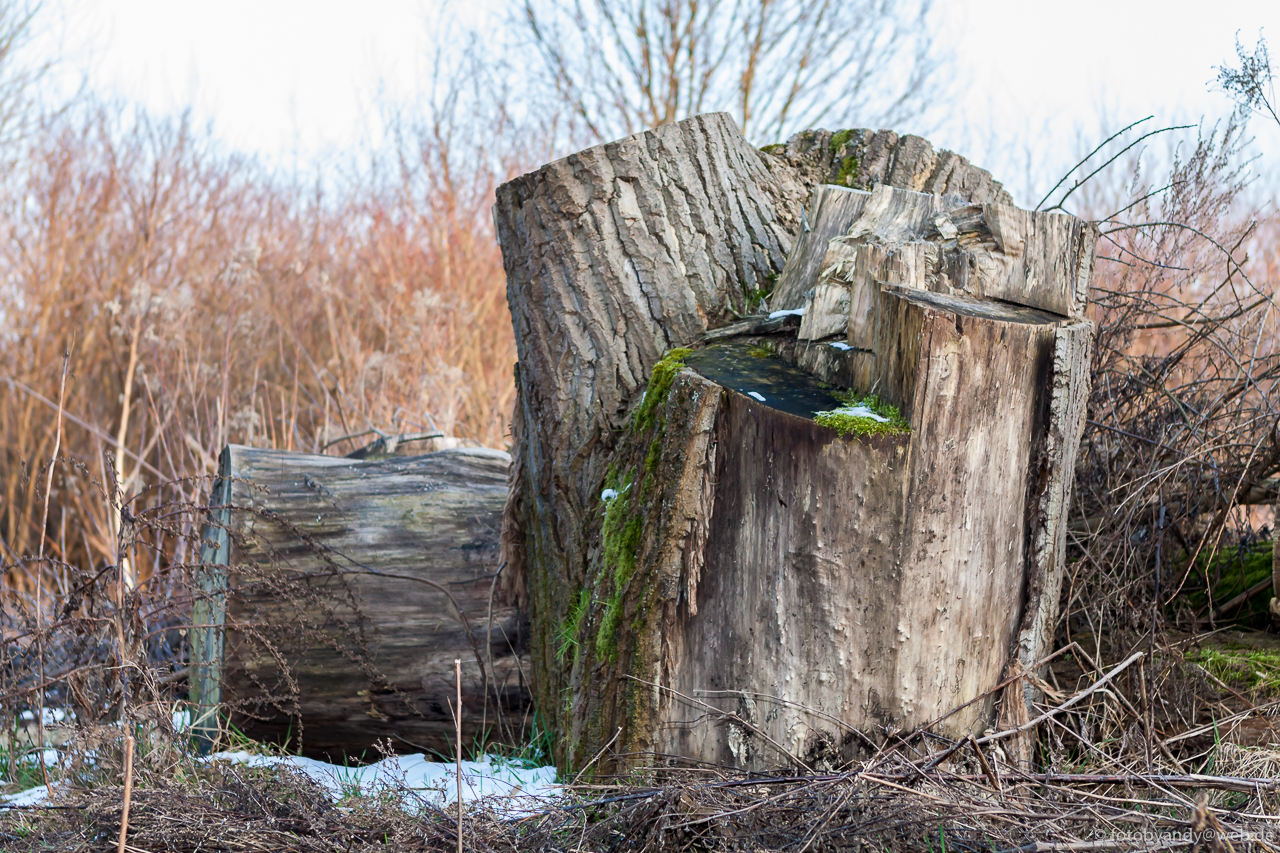 Foto By Andy Februar 2014