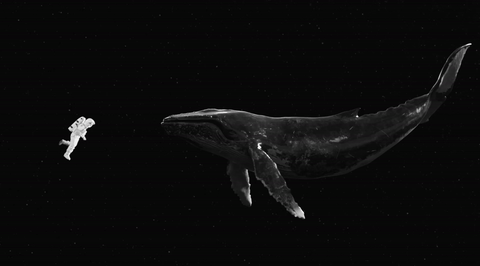 Exo Sing For You Favourites Album Review Spot My Korea