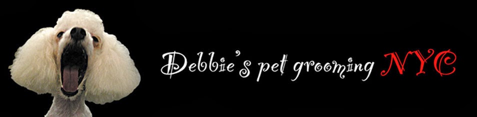 Debbie's pet grooming NYC
