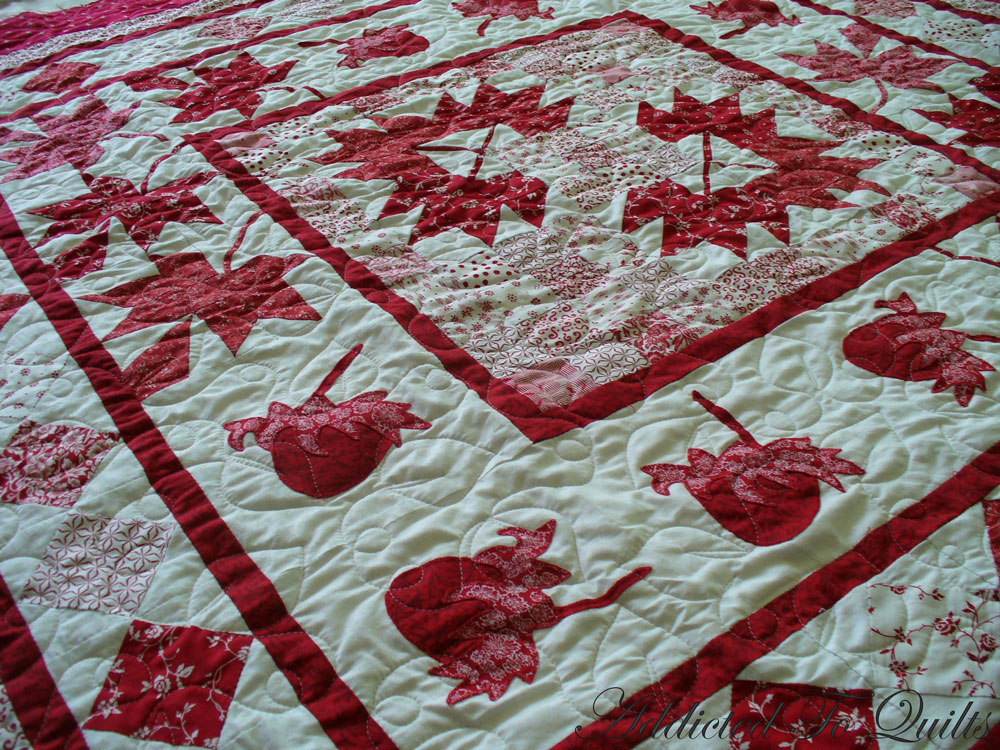 Addicted To Quilts Australia Canada Quilt