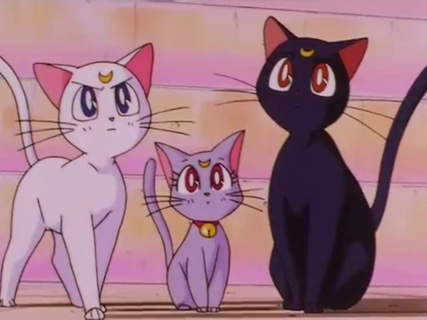 Thông tin về các nhân vật chính diện trong Sailor Moon Luna+Diana+Artemis+from+Sailor+Moon