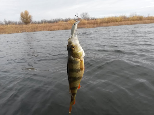 Рыбалка в начале зимы.