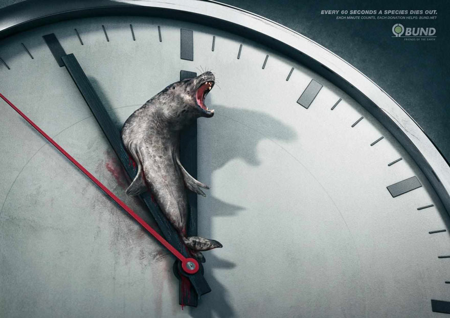 Every 60 Seconds A Species Dies Out. Each Minute Counts -BUND