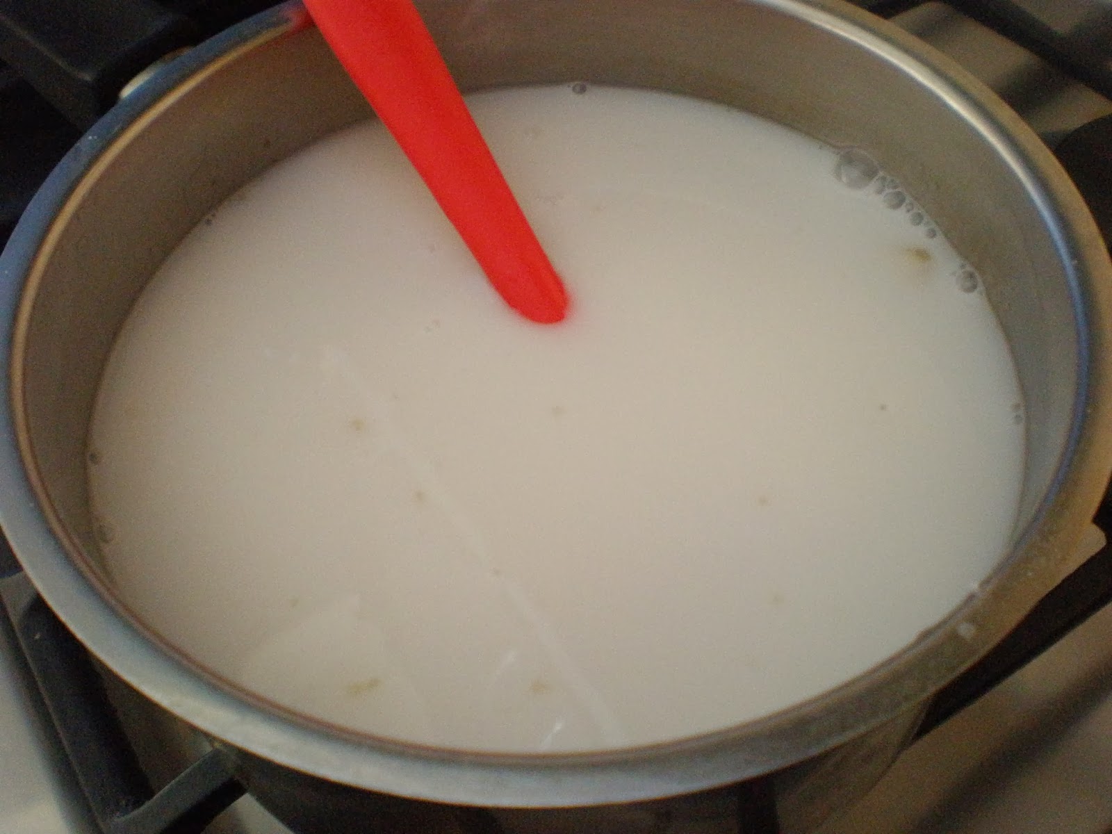 The InTolerant Chef ™ Chinese Coconut Jelly