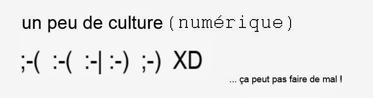 un peu de culture (numérique)