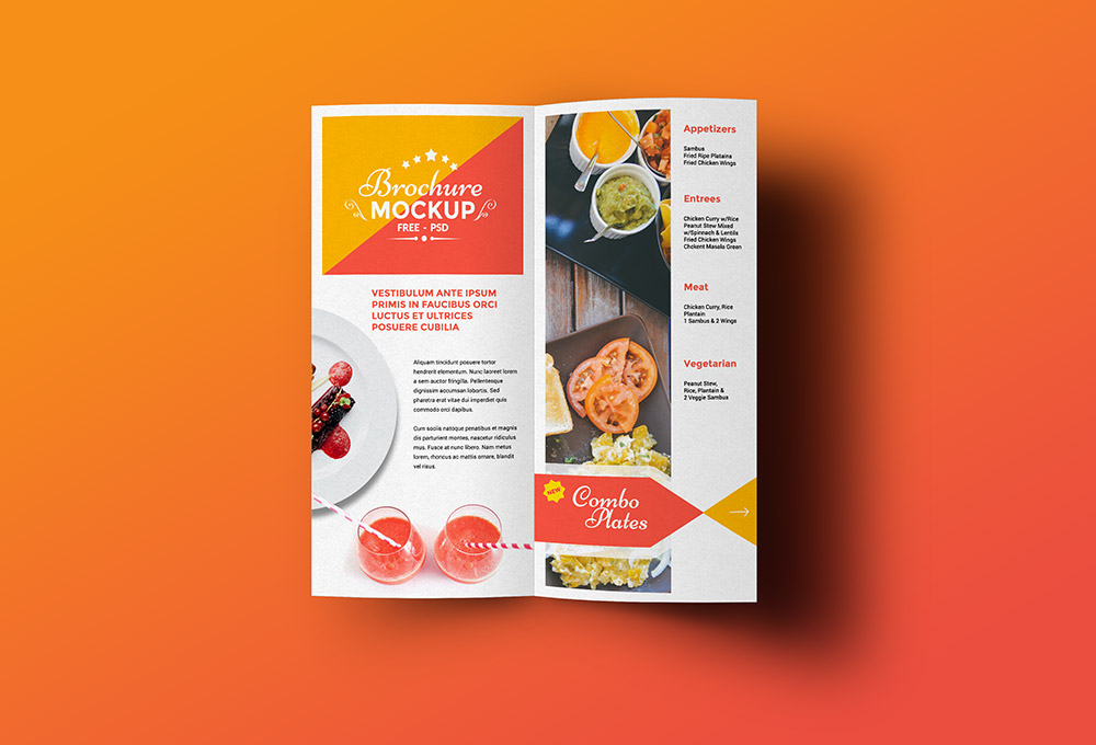 Need fast brochure for your business?