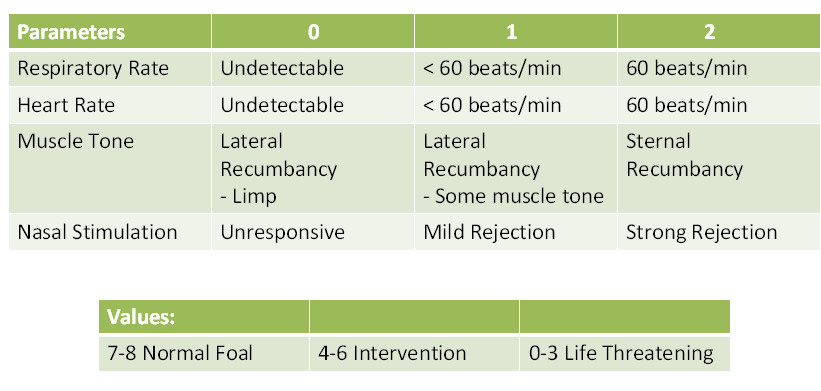 apgar score 3 apgar score 3