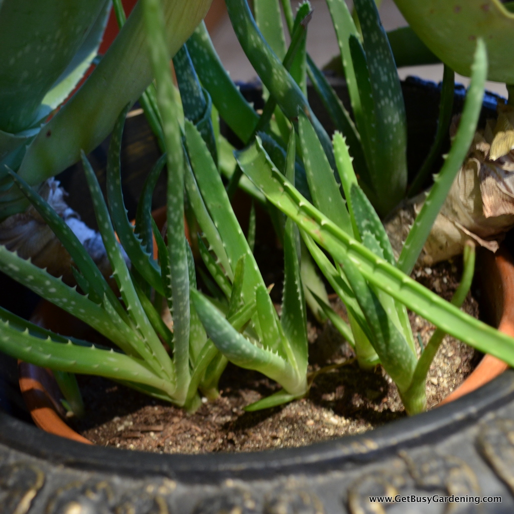 301 Moved Permanently