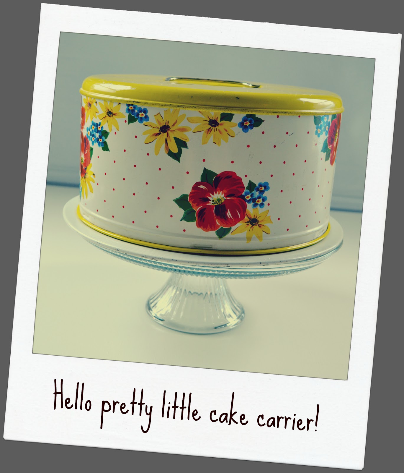 The Domestic Doozie Thrifty Thursday and PicMonkey