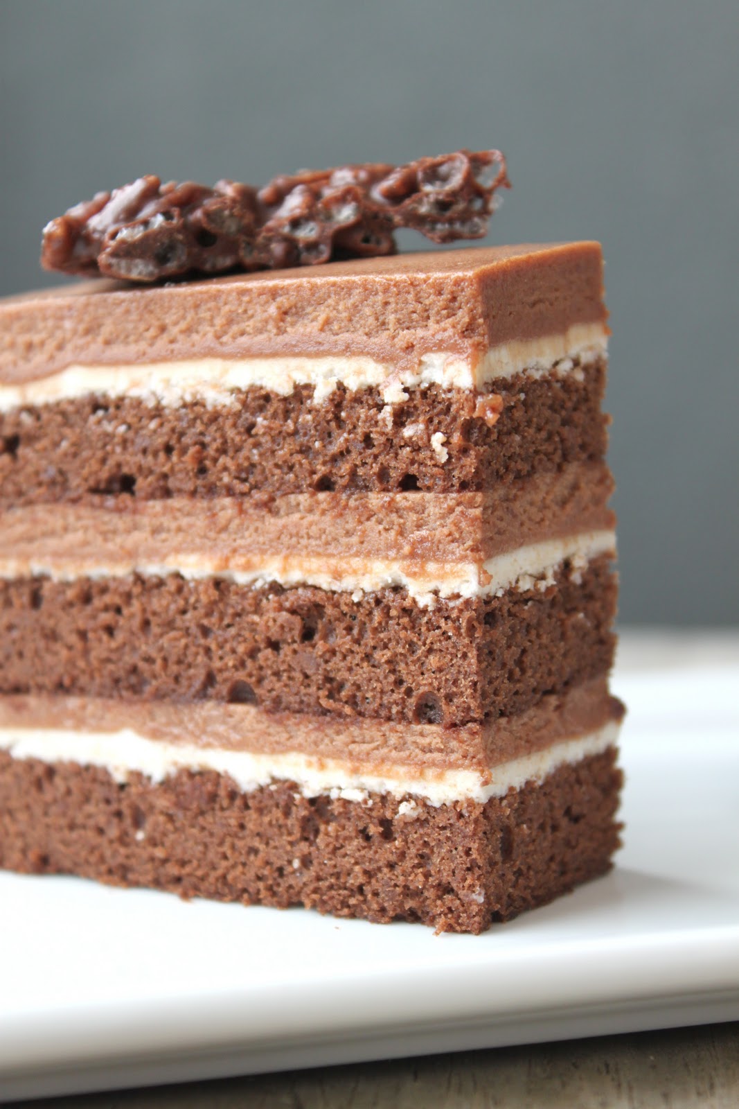 Chocolate Hazelnut Cake The Little Epicurean