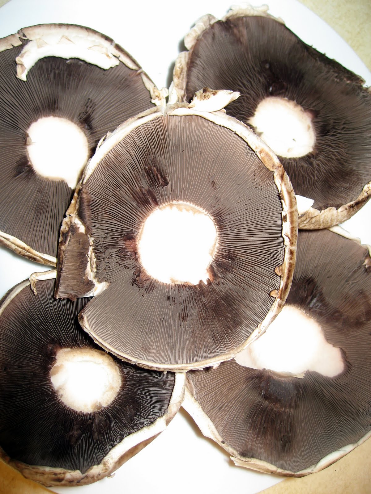 Crab-Cake Stuffed Portobello Mushrooms Tutorial