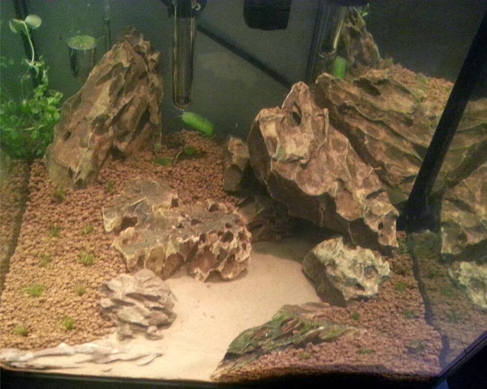 aquascaping tips tricks hardscape