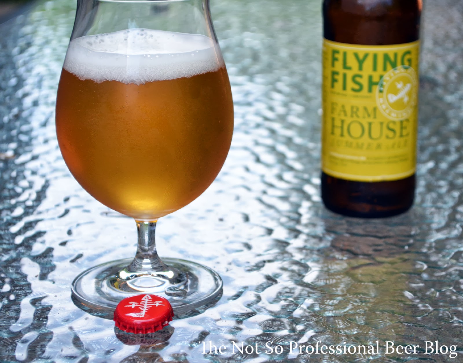 Review Farmhouse Summer Ale Flying Fish The Not So