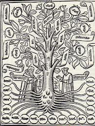 L'arbre de la ciència