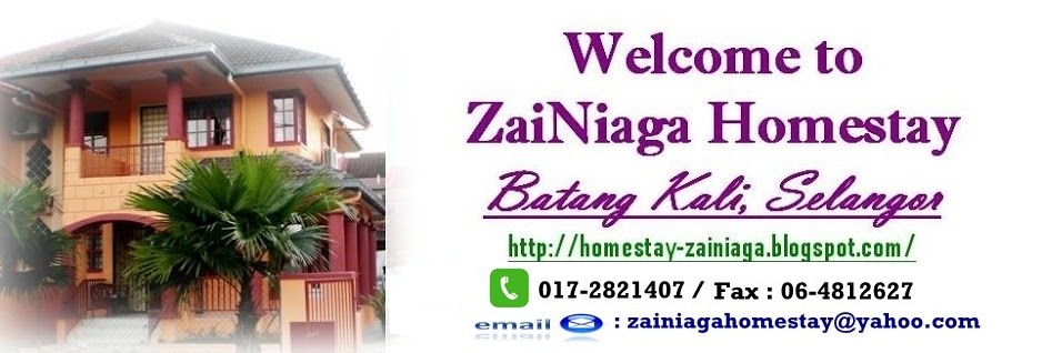 ZaiNiaga HomeStay Official Website