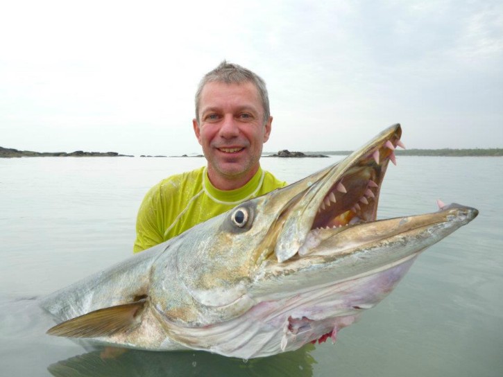 Guinean Barracuda