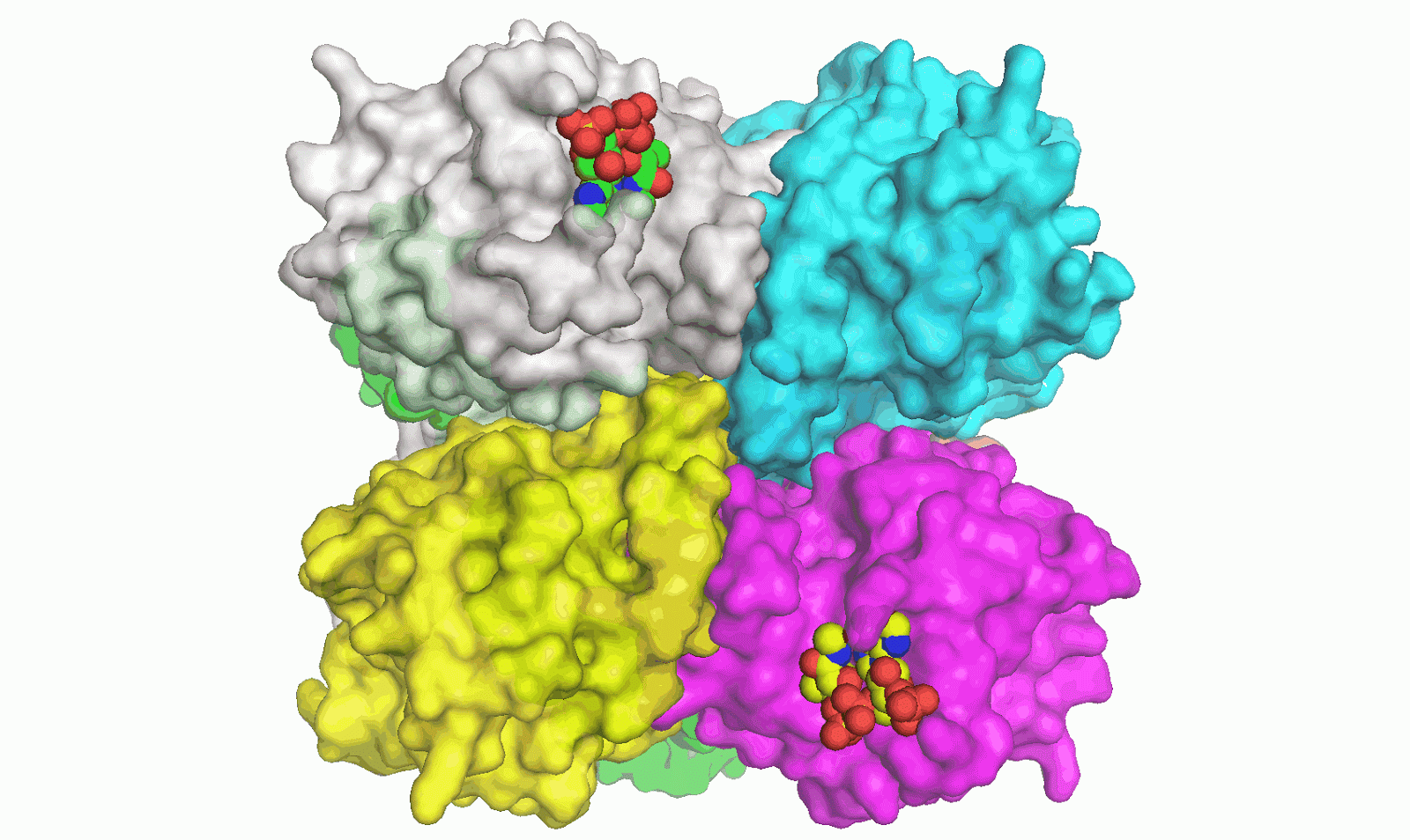 Microscopic Macromolecular Studio