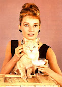 El gato de Audrey Hepburn