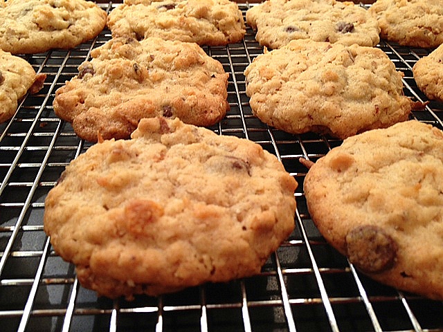 Very Good Cookies {Saving Grace} - Raisin & Fig