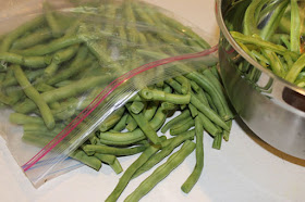 beans green fresh freezing