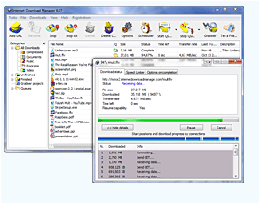 Internet Download Manager Features