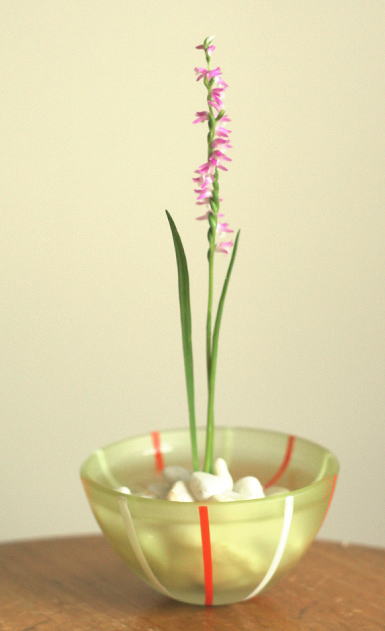 雑草を飾ろう 花の情報局 雑草を飾ろう 花の情報局