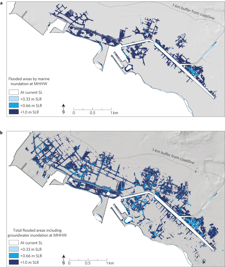 allow estimates of the mean water table which was used to assess vulnerability to groundwater inundation from sea level rise allow estimates of the mean water table which was used to assess vulnerability to groundwater inundation from sea level rise