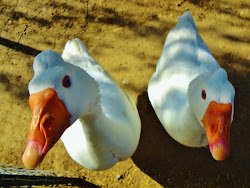 The Geese