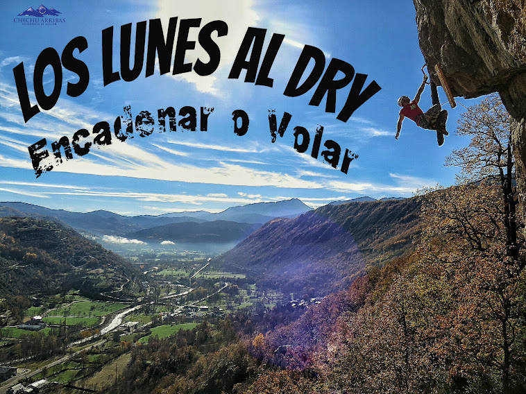 Los lunes al Dry