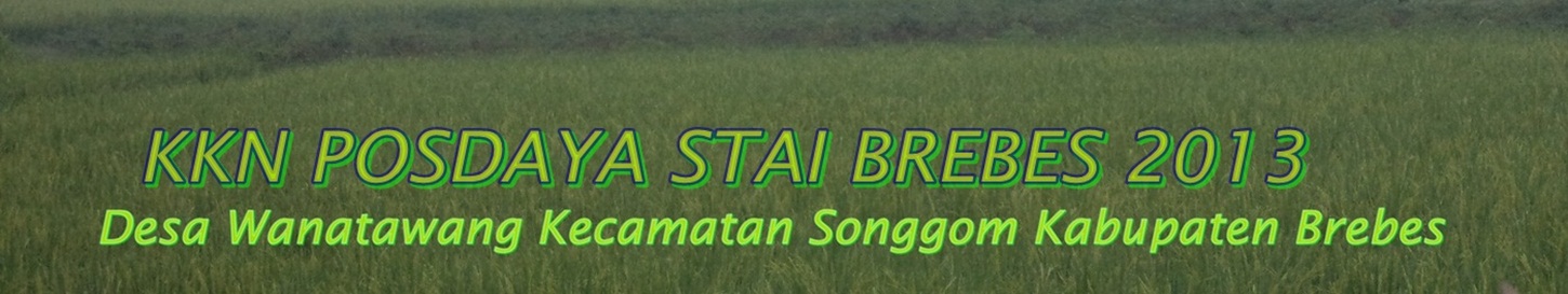 KKN POSDAYA STAI BREBES DESA WANATAWANG 2013