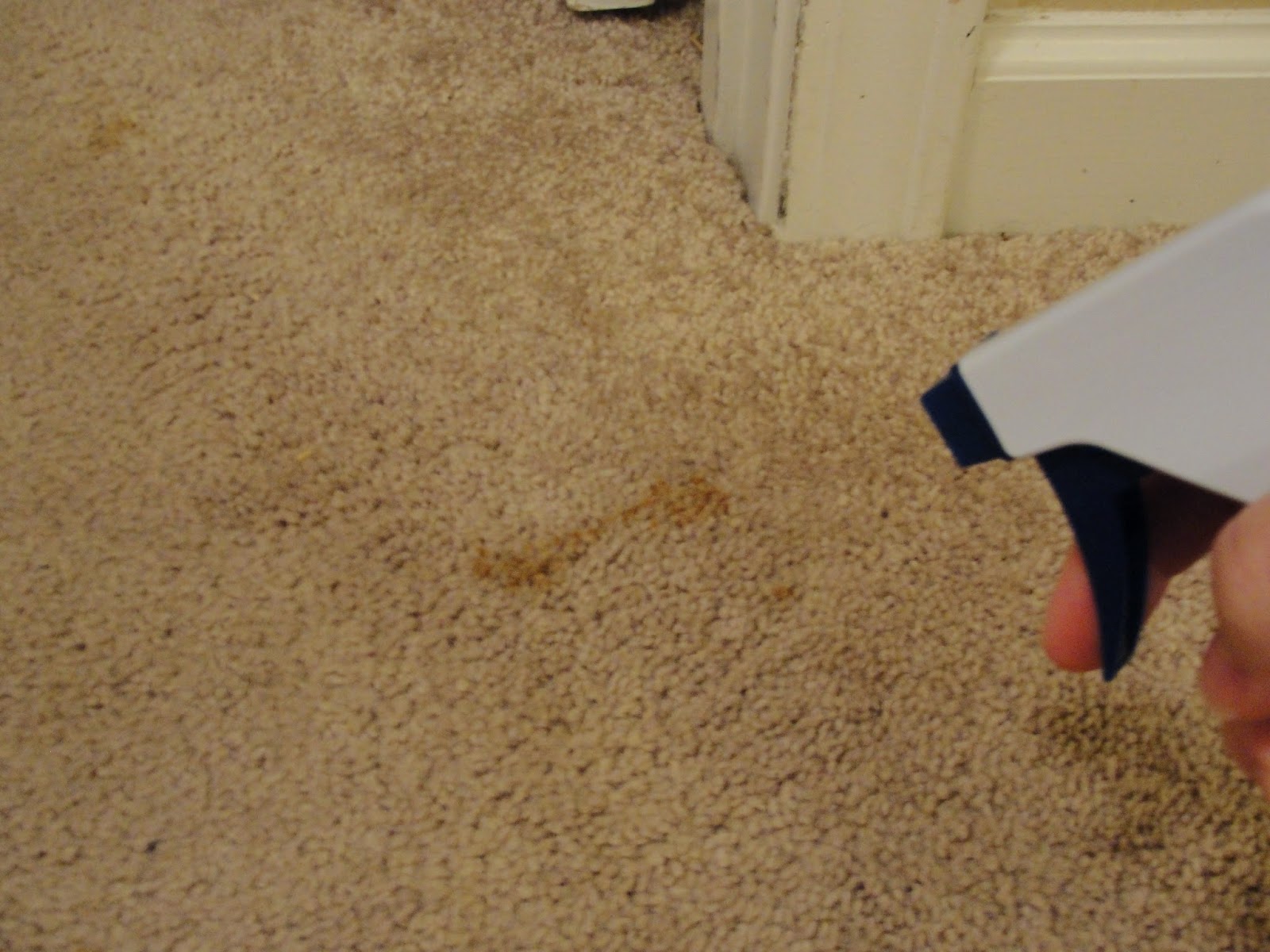 Yellow Door Diaries True or False Iron Out Carpet Stains