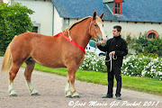 cheval%20noir (2). Envoyer par e-mailBlogThis! cheval noir 
