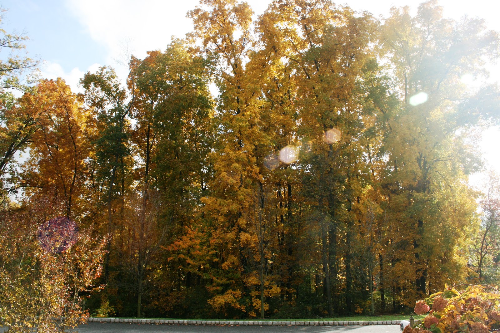 The Root Connection Quilting Retreat in Poconos