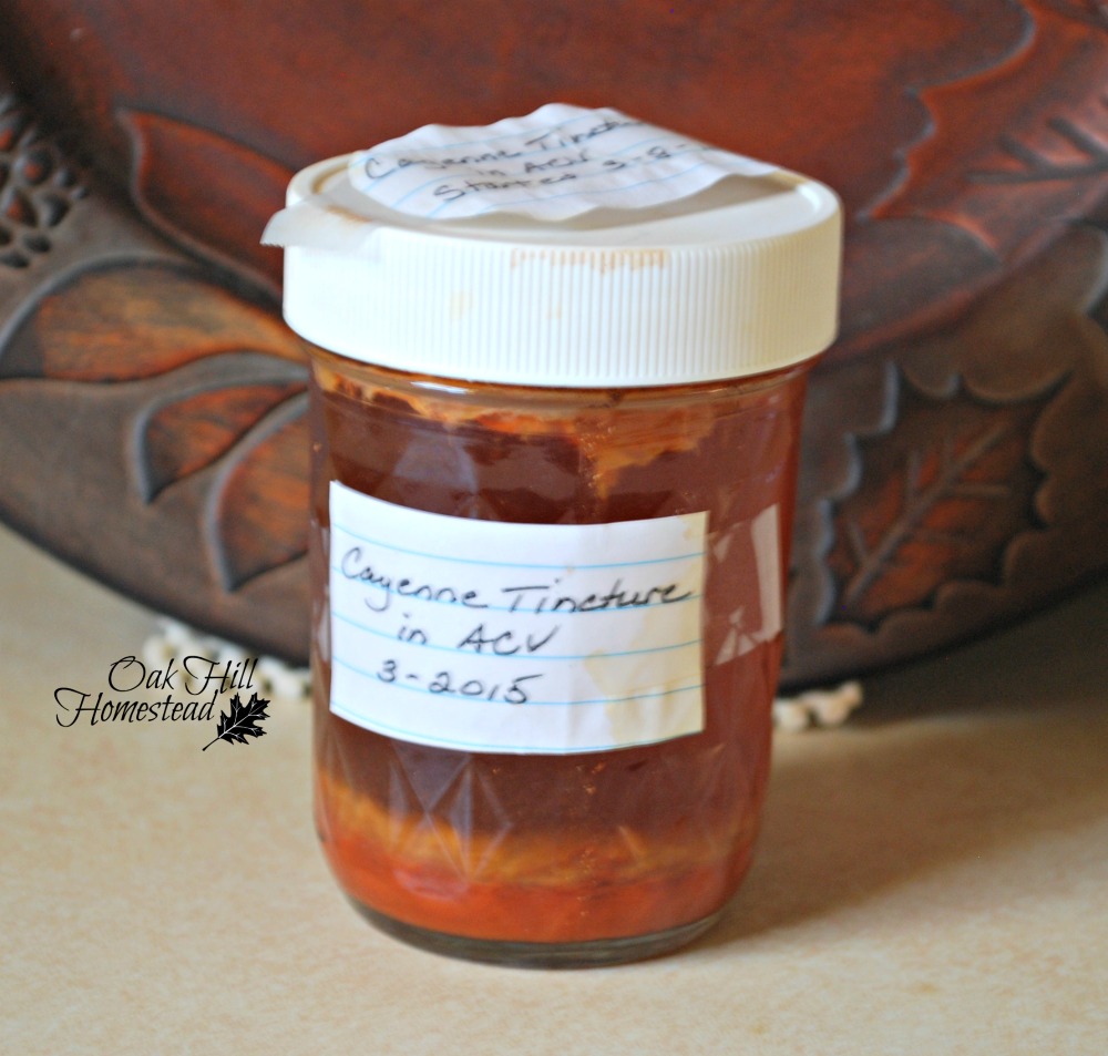 Making a Cayenne Tincture Oak Hill Homestead
