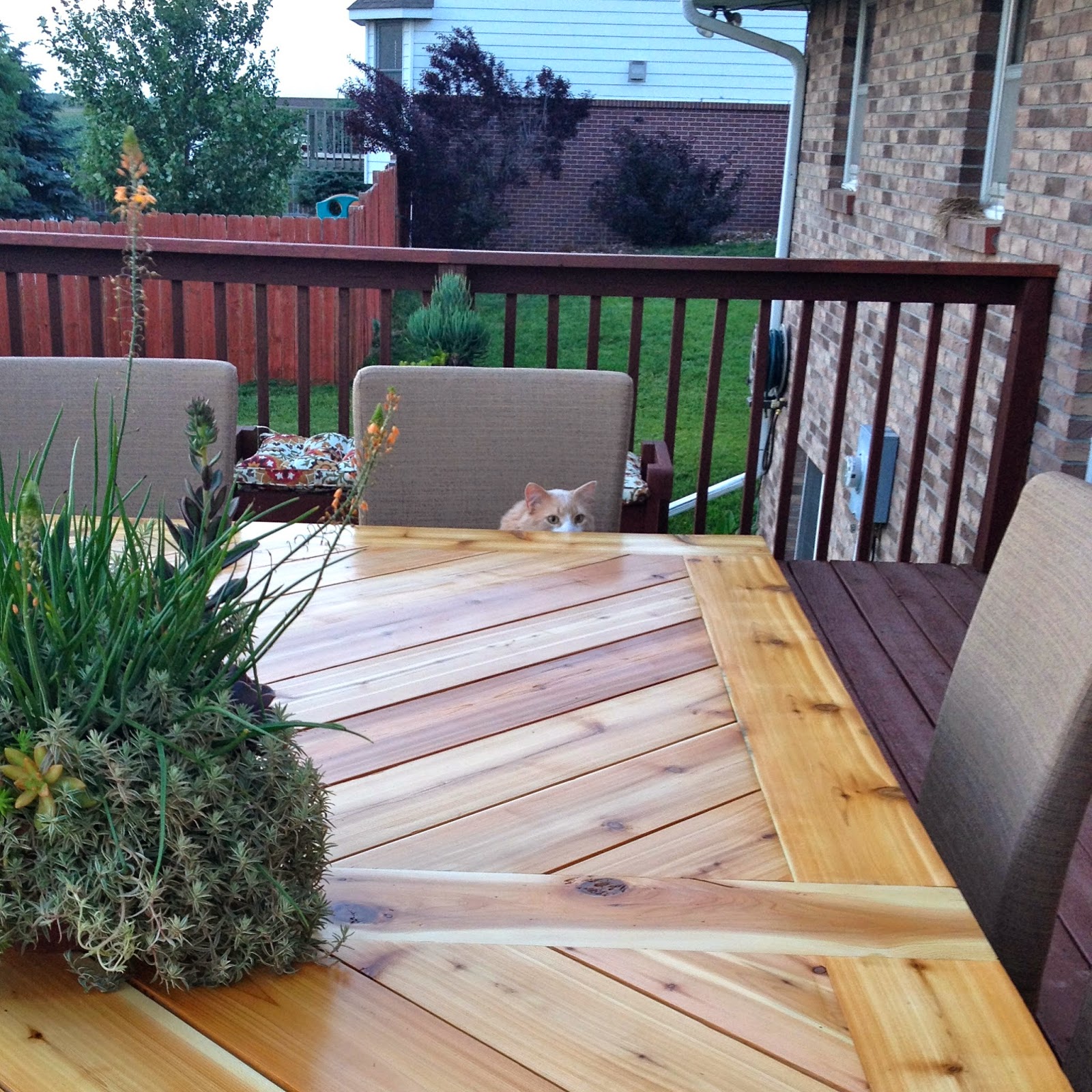 DIY Why Spend More Build your own outdoor table