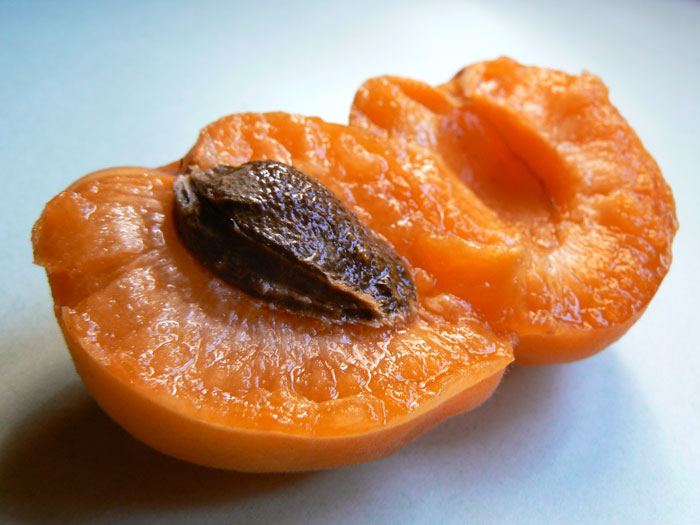 blog DD I would like to hear orange sounds...