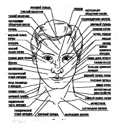 Подборка камшотов на лица и другие части тела пышных телочек