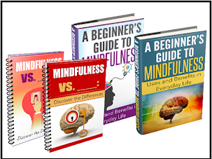 Are You Thinking of Starting Your Own Mindfulness Niche?